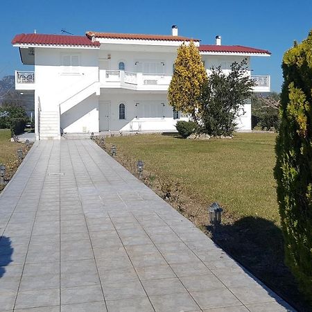 Silver Villa Raches Maisonette & Green Kouvela Exterior photo