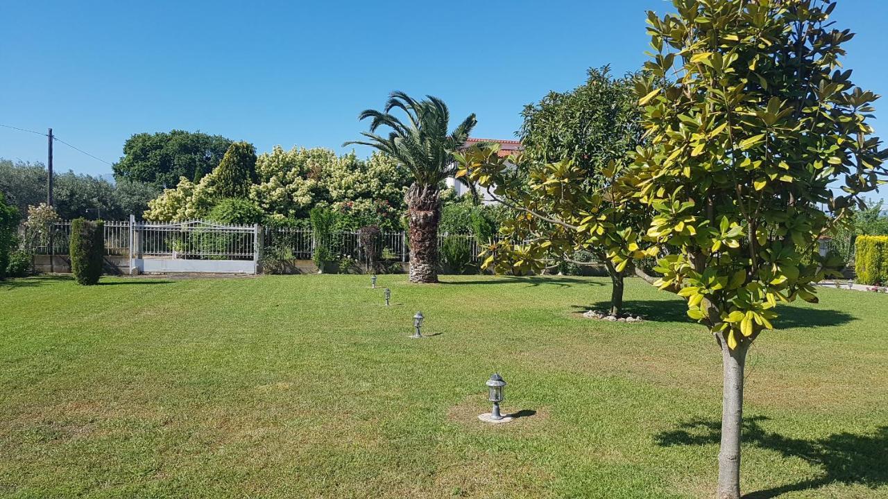 Silver Villa Raches Maisonette & Green Kouvela Exterior photo