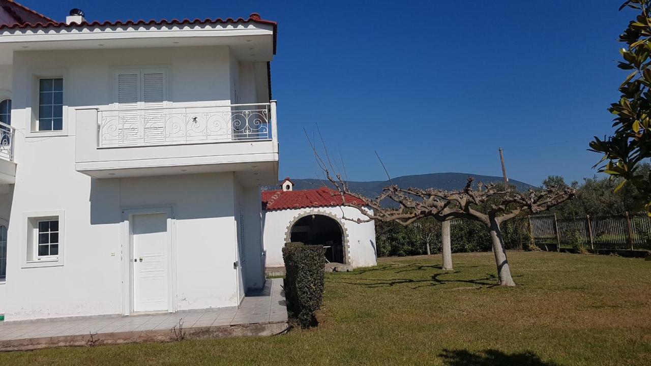 Silver Villa Raches Maisonette & Green Kouvela Exterior photo